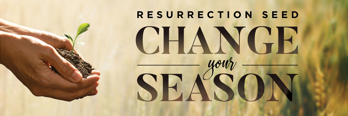 A Resurrection Seed for your miracle